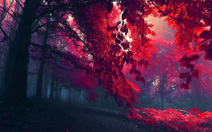 Red Forest All Mac wallpaper