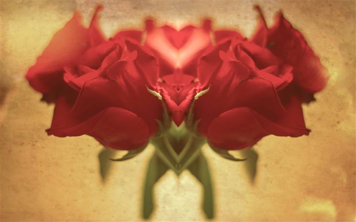 Red Roses Heart All Mac wallpaper