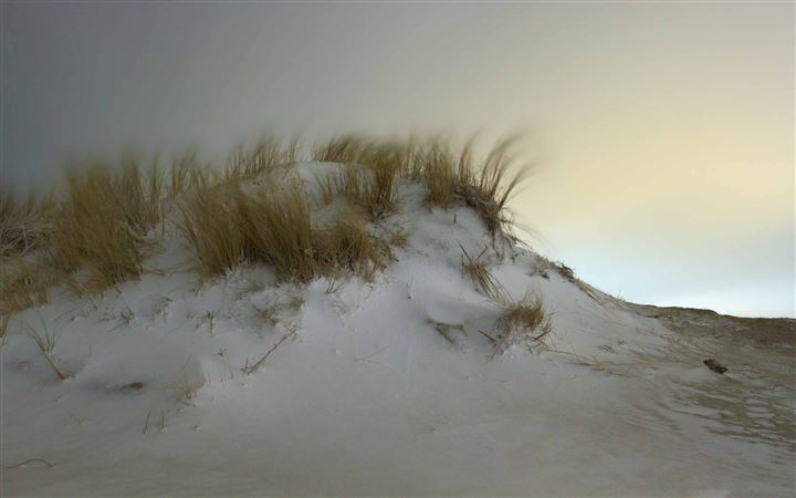 Snow Dunes In Hook Of Holland All Mac wallpaper