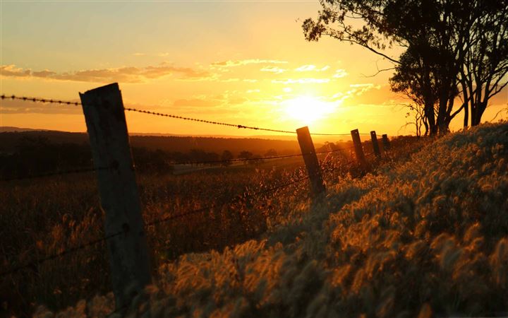 Sunset Through Barbed Wire Warwick All Mac wallpaper