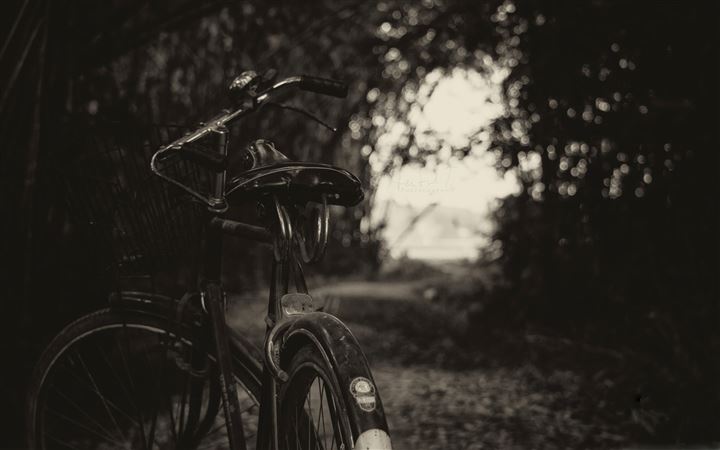 The Bicycle All Mac wallpaper