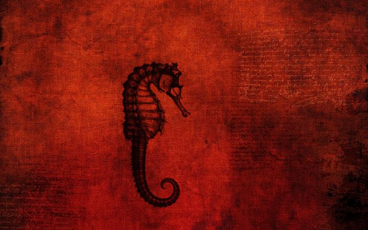 The mystery of the hippocampus All Mac wallpaper