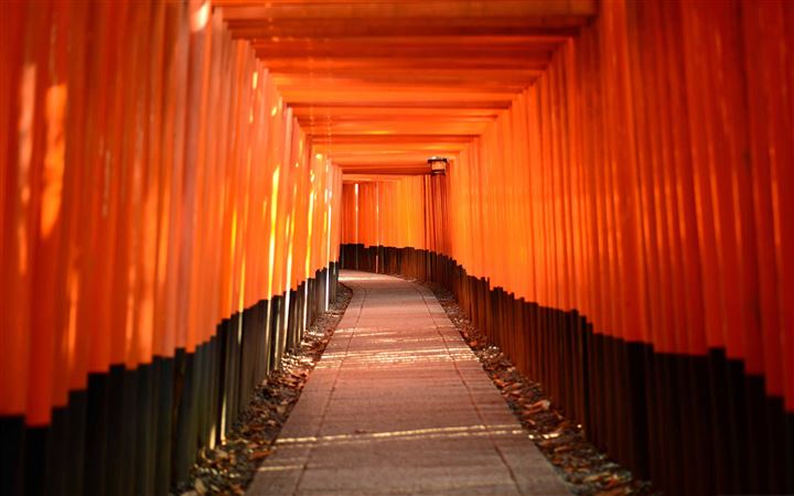 Torii Leading To The Inner Shrine All Mac wallpaper