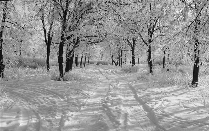 Trails In The Snow Winter All Mac wallpaper