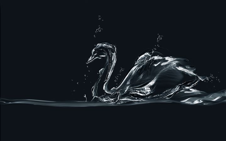 Water Swan All Mac wallpaper