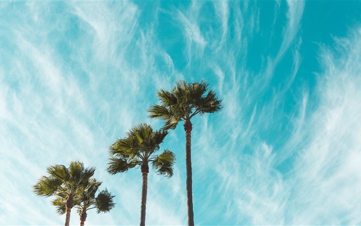 Windswept Skies All Mac wallpaper