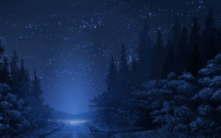 Winter night sky All Mac wallpaper
