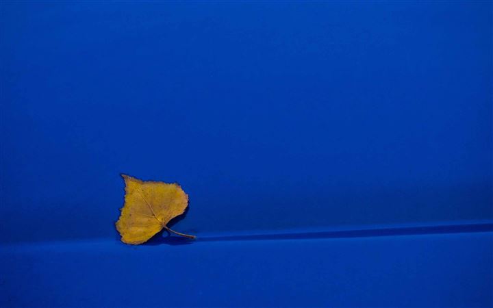 Yellow Leaf On Blue Background All Mac wallpaper