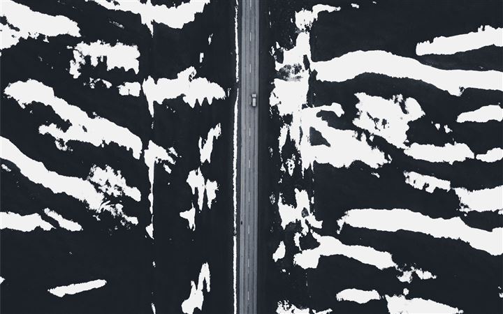Zebra All Mac wallpaper