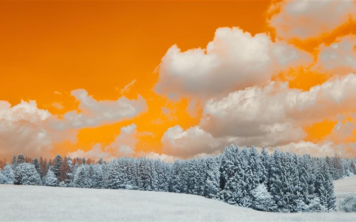 a snow covered field with trees under a cloudy sky MacBook Air wallpaper