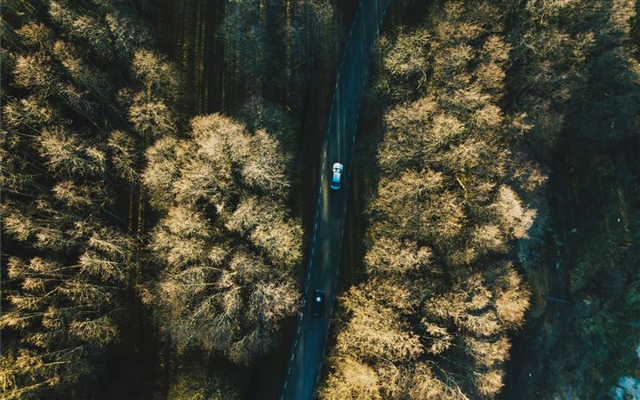 aerial view of two vehicles on road between trees All Mac wallpaper