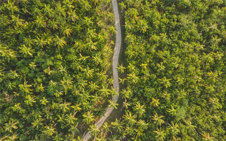 bird's eye photography of road surrounded by trees All Mac wallpaper