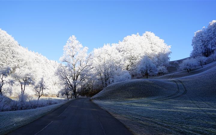 hill frost road trees 8k All Mac wallpaper