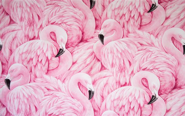 pink flamingos All Mac wallpaper