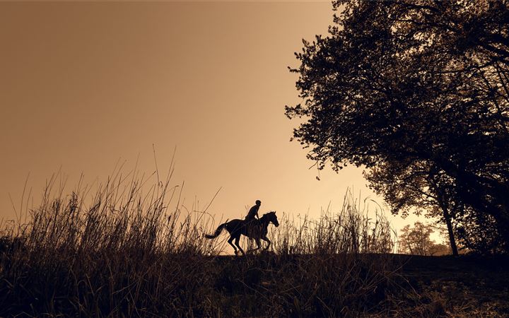 silhouette of person riding horse All Mac wallpaper