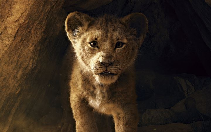 the lion king 2019 8k All Mac wallpaper