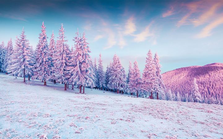 trees pink colorful cold hills snow 5k MacBook Air wallpaper