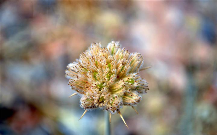 Colored View MacBook Pro wallpaper