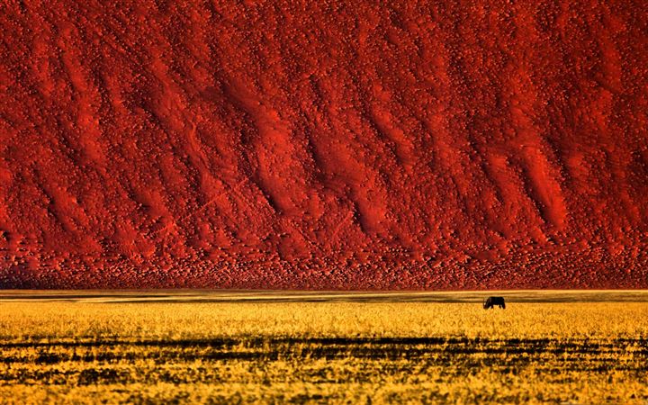 Namibian Landscape Photography MacBook Pro wallpaper