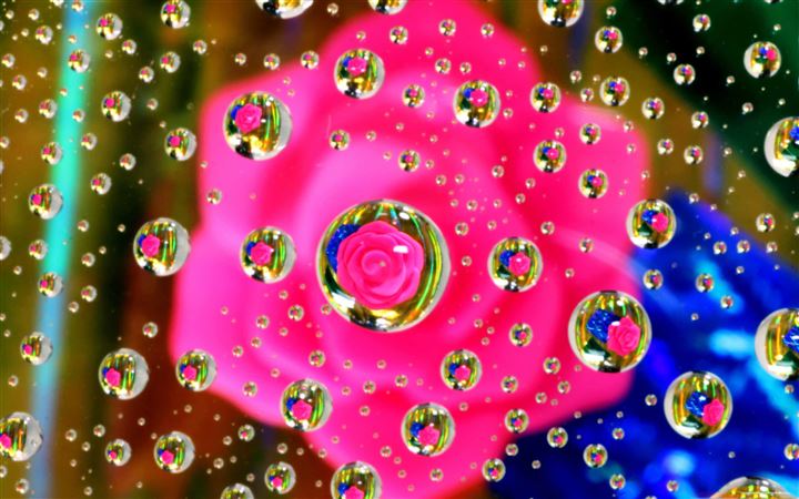 Pink Flower Water Drop MacBook Pro wallpaper