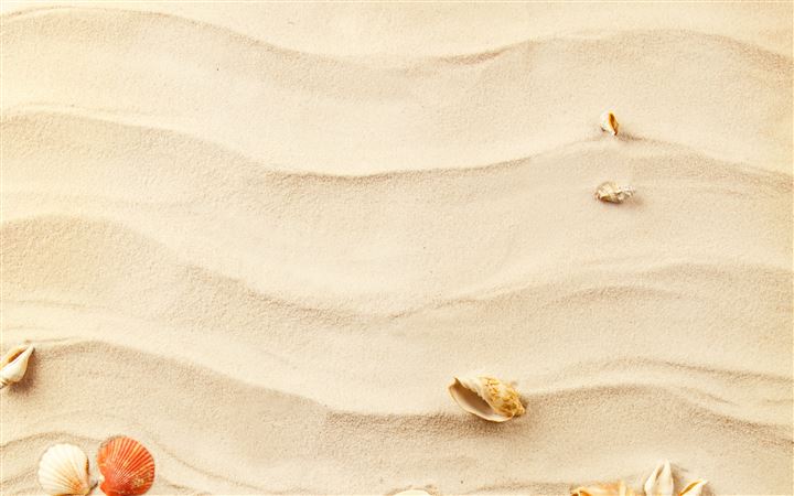 Shells on the sand MacBook Pro wallpaper