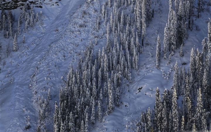 Snow Like A Lot Of Snow MacBook Pro wallpaper