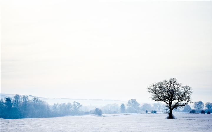 Snowfield and tree MacBook Pro wallpaper