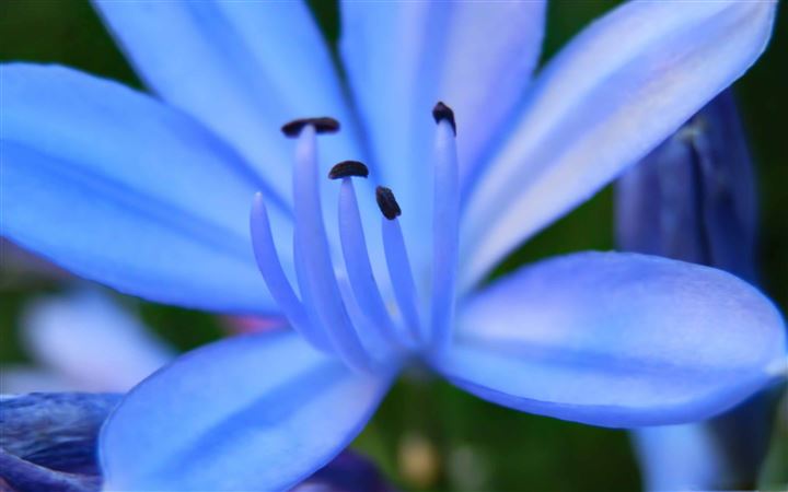 The Azulada MacBook Pro wallpaper