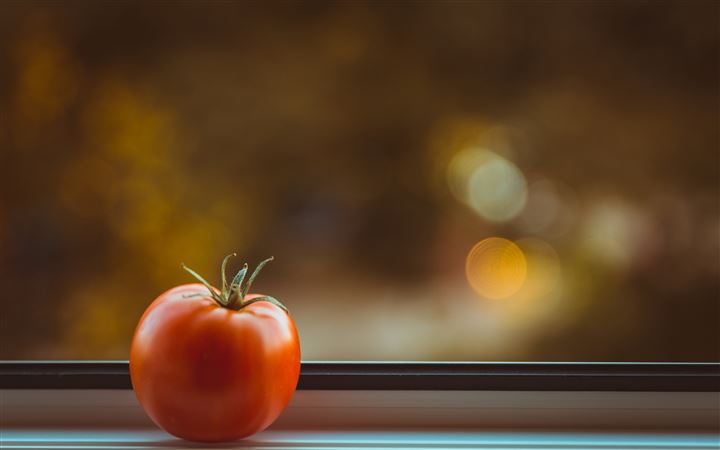 The quiet tomato MacBook Pro wallpaper