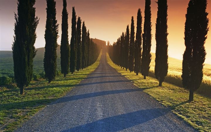 Trees Italy Roads MacBook Pro wallpaper