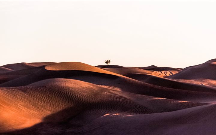 sand dunes during daytime MacBook Pro wallpaper