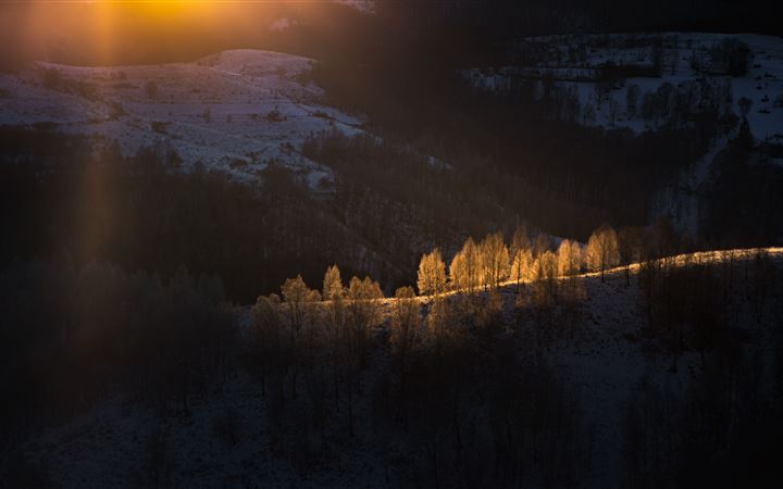 sun beams with golden light over the frozen trees MacBook Pro wallpaper