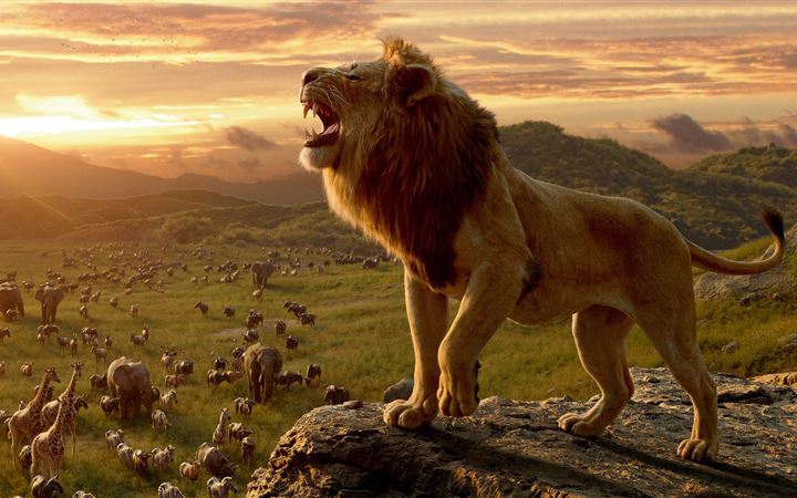 the lion king movie 10k MacBook Pro wallpaper