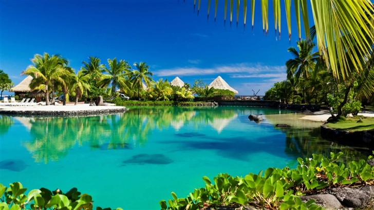 Tropical Island Swimming Pool Resort Mac Wallpaper
