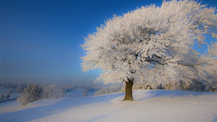 Beautiful Winter Landscape Mac Wallpaper