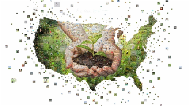Green United States Of America Mac Wallpaper