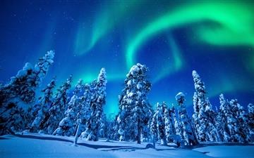 Northern Lights Over Forest All Mac wallpaper