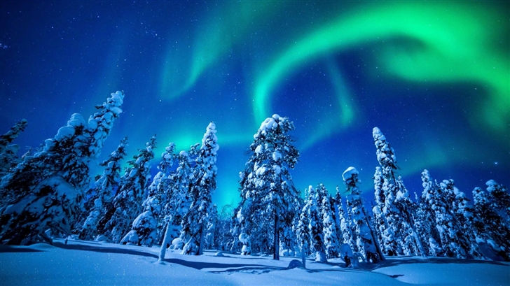 Northern Lights Over Forest Mac Wallpaper