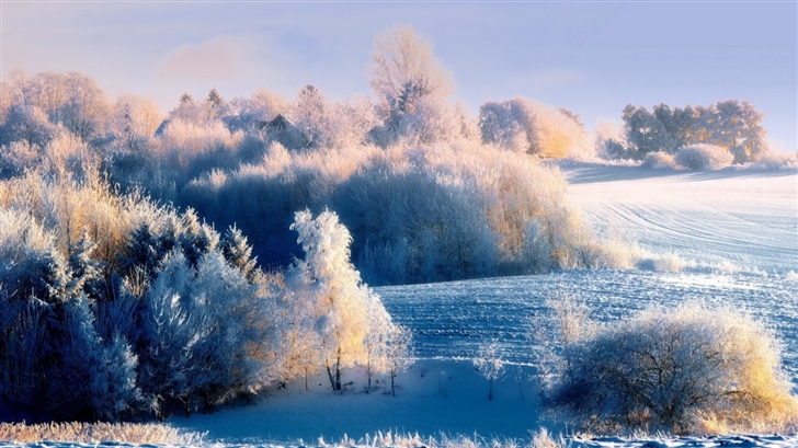 Snowy Hillside Landscape Mac Wallpaper