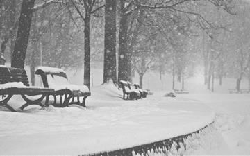 Snow Falling Black And White All Mac wallpaper