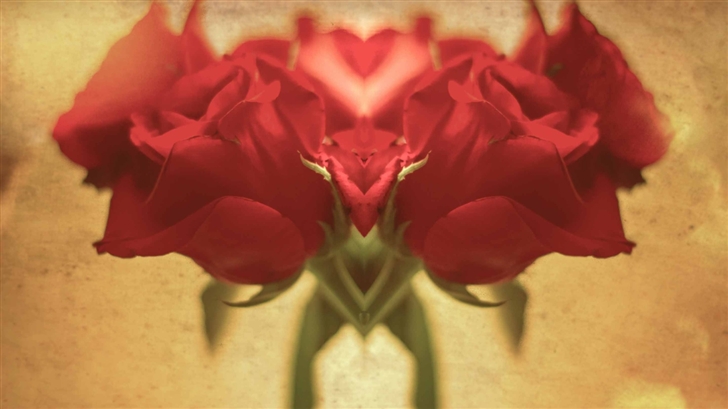 Red Roses Heart Mac Wallpaper