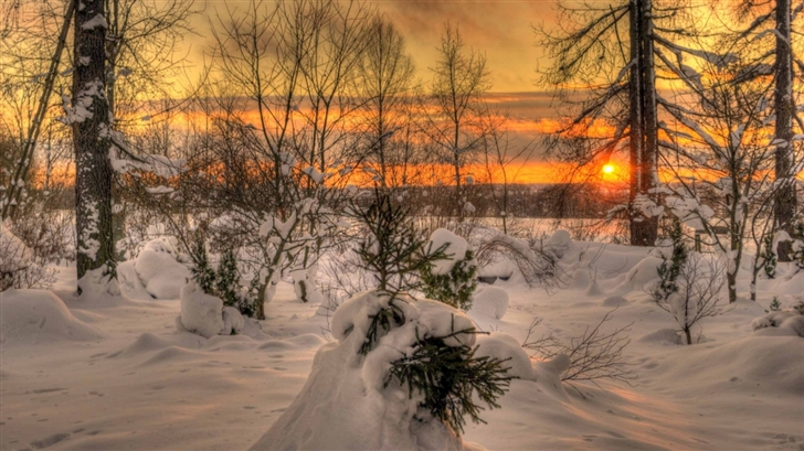 Winter Sunset Mac Wallpaper