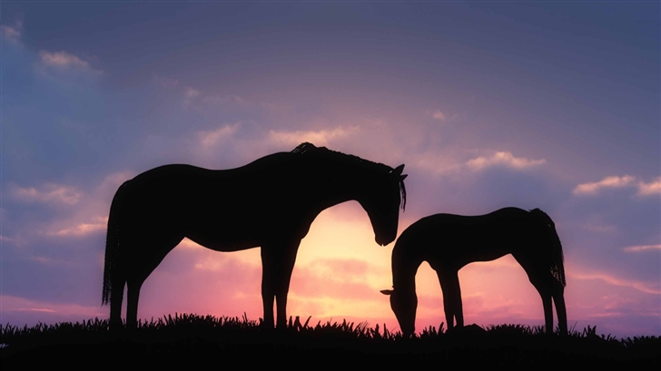 Horses Sunset Silhouette Mac Wallpaper