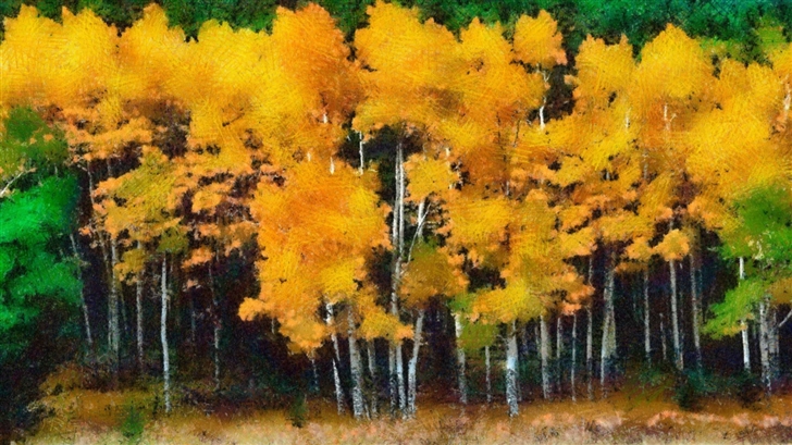 Autumn Trees  Mac Wallpaper