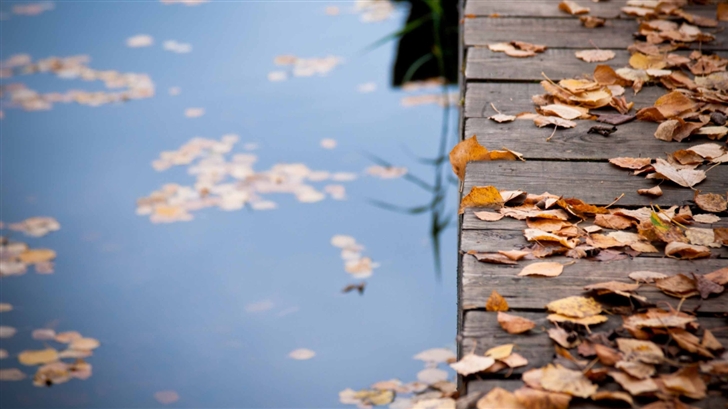 Autumn Leaves On Wooden Bridge Mac Wallpaper