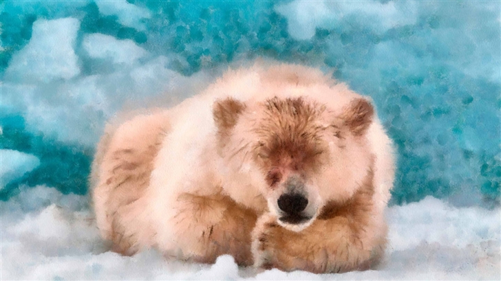 Polar Bear Sleeping Dap Water Color Mac Wallpaper