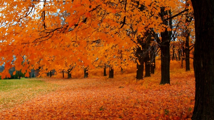 Autumn In Wisconsin Mac Wallpaper