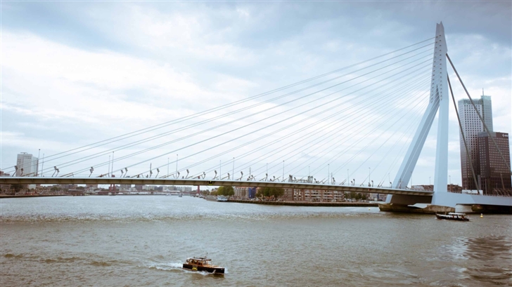 Erasmus Bridge Rotterdam Netherlands Mac Wallpaper