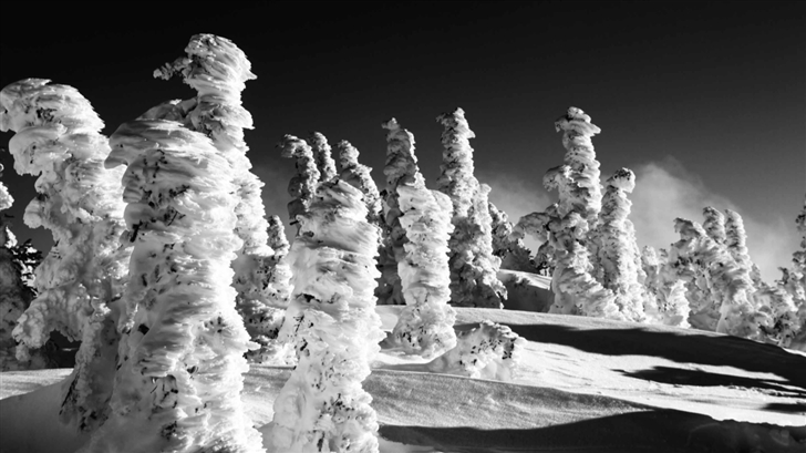 Snow Statues  Mac Wallpaper