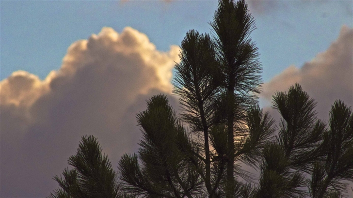 Clouds Eclipsing Tree Mac Wallpaper
